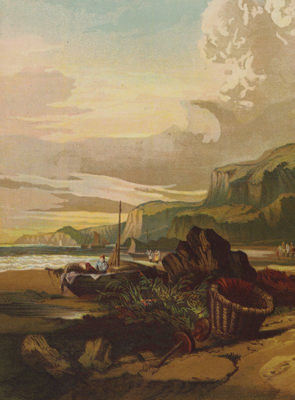 Barcos de pesca de English School