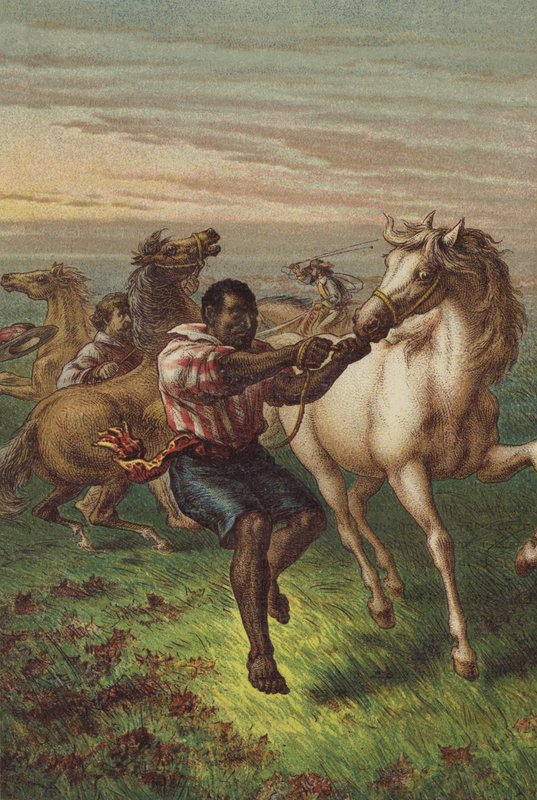 Garibaldis troopers quebrando cavalos selvagens de English School