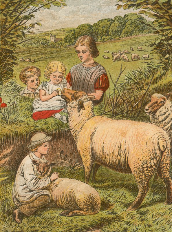 Little Lambkin de English School