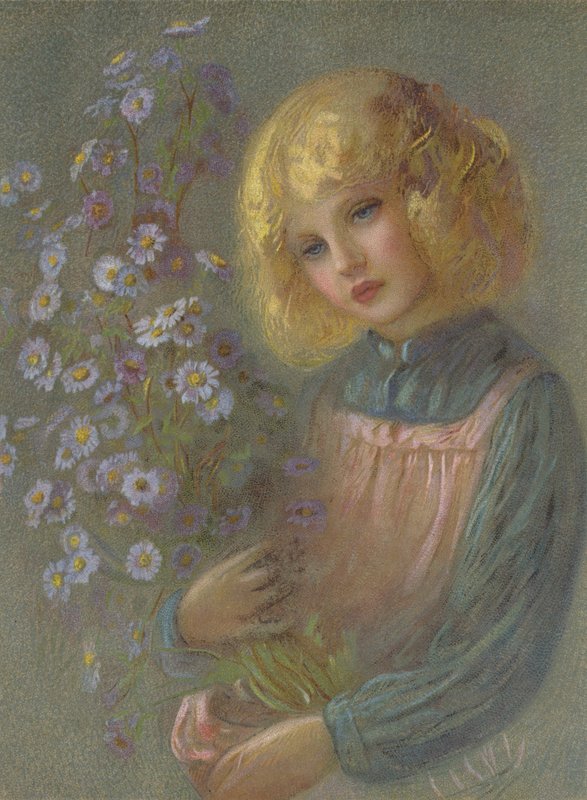 Margaridas de Michaelmas de English School