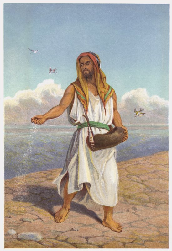 Parábolas de Jesus Cristo: o semeador de English School
