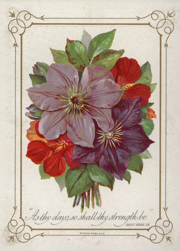 Posy de flores de English School
