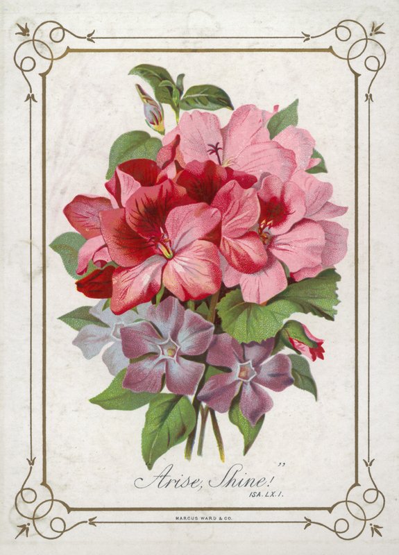 Posy de flores de English School