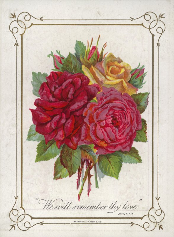 Posy de flores de English School