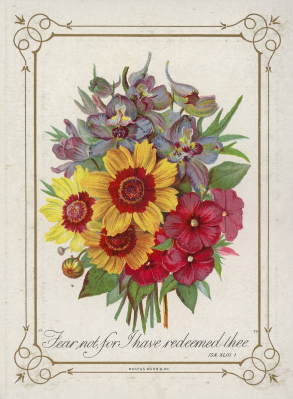 Posy de flores de English School