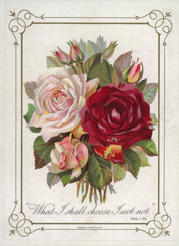 Posy de flores de English School