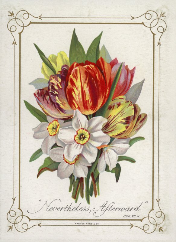 Posy de flores de English School