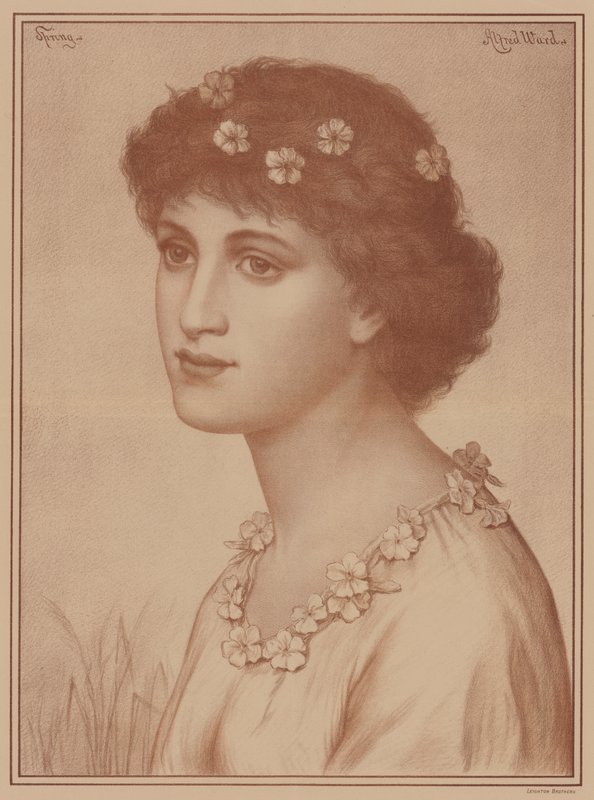 Primavera de English School