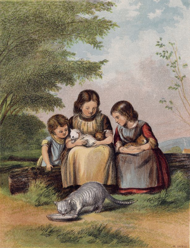 Os gatinhos do animal de estimação de English School