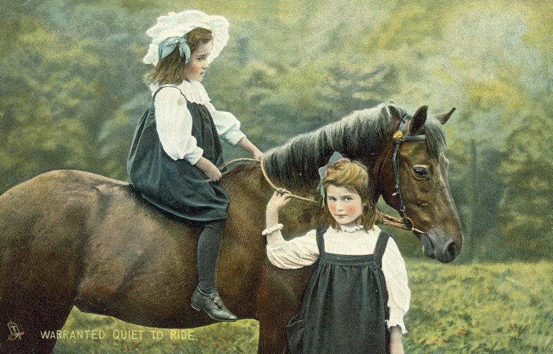 Dois, garotinhas, ligado, um, cavalo de English School
