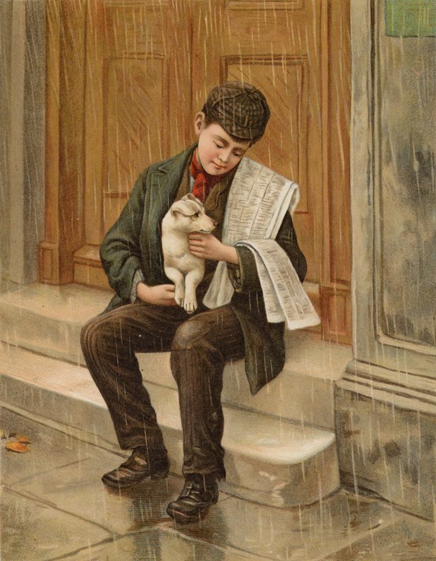 Molhado e cansado de English School
