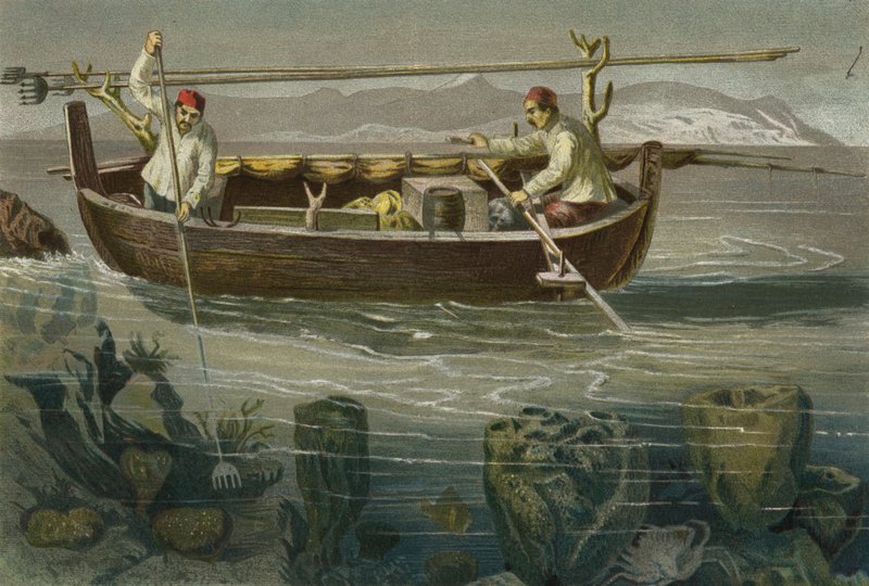 Esponja De Pesca Na Costa Da Dalmácia de European School