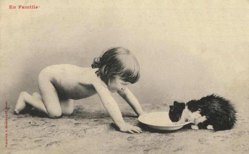 Criança, com, um, gatinho de French Photographer