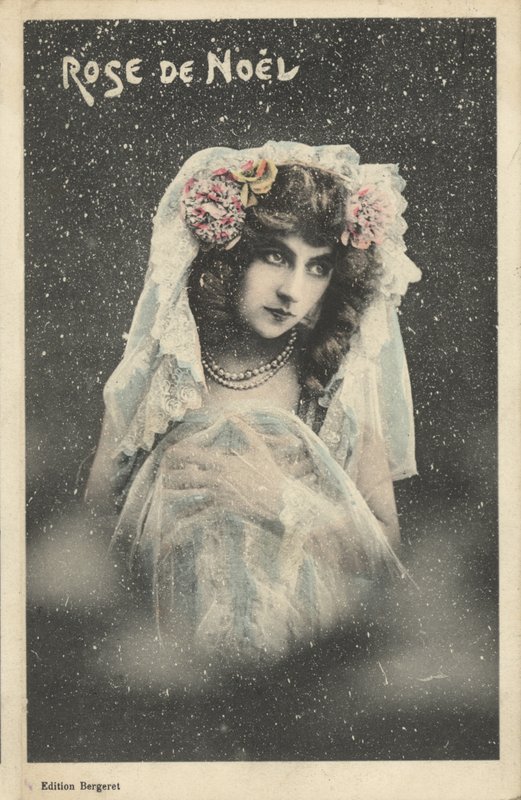 Rosa de natal de French Photographer