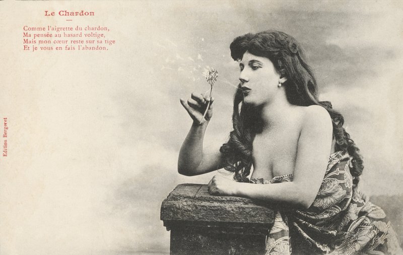 Menina, soprando, um, dandelion de French Photographer