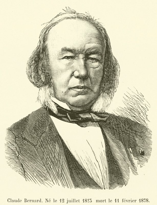 Claude Bernard, nascido em 12 de julho de 1813, morreu em 11 de fevereiro de 1878 de French School
