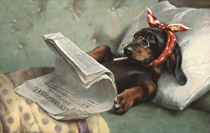 Cachorro lendo um jornal de French School