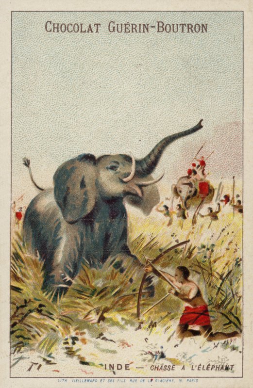 Caça ao elefante, Índia de French School