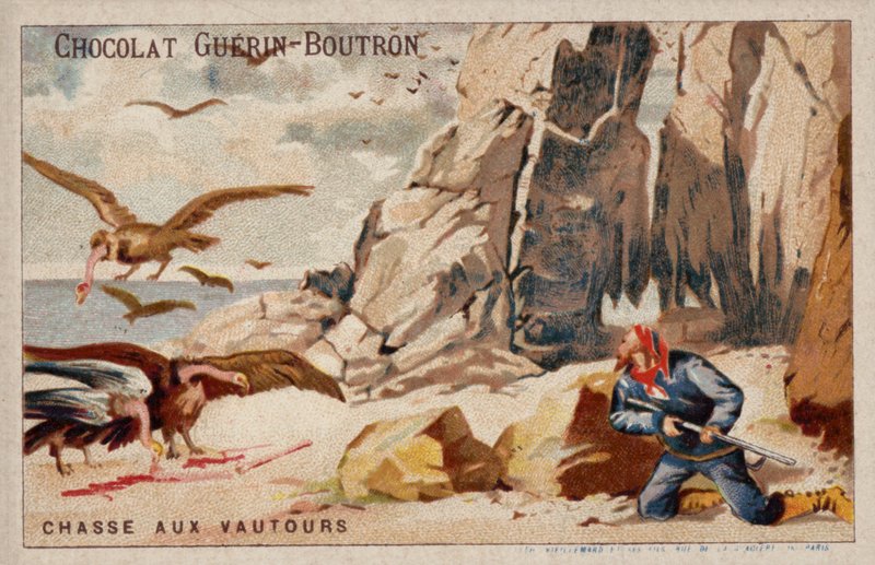 Abutres de caça de French School