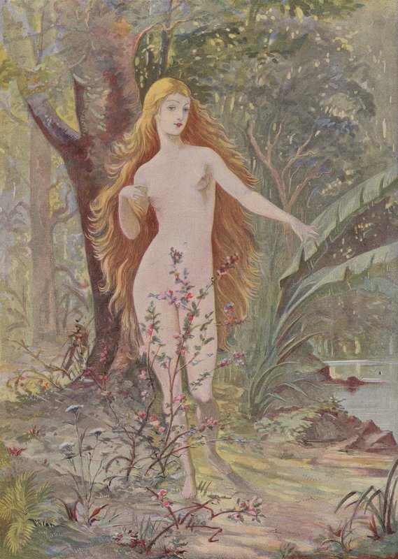 O nascimento da mulher de French School