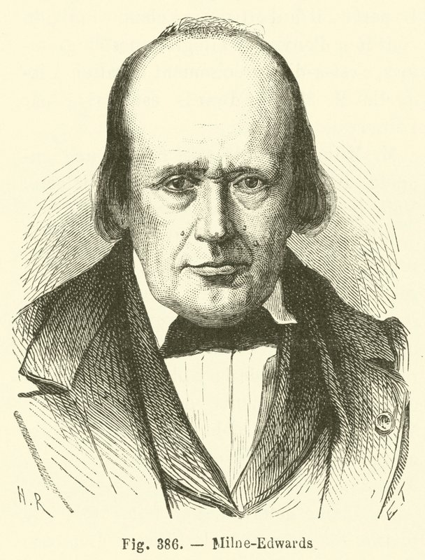 Milne-Edwards de French School