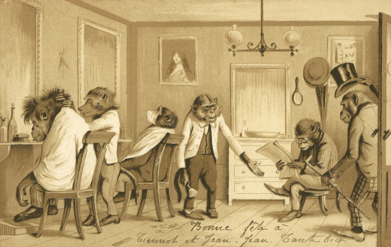 Macaco executando uma barbearia de French School