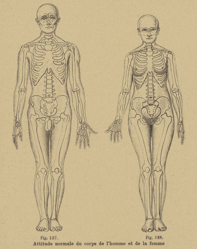 Postura normal do corpo de um homem e uma mulher de German School