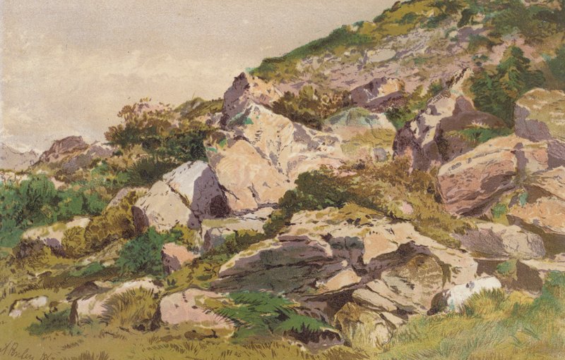 Estudo das pedras do lado norte de Taliaris, perto de Llandilo, País de Gales do Sul (cromolitografia) de Aaron Edwin Penley