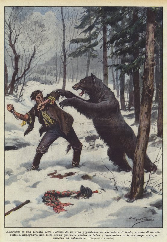 Atacada em uma floresta da Polônia por um urso gigante, um caçador de Achille Beltrame