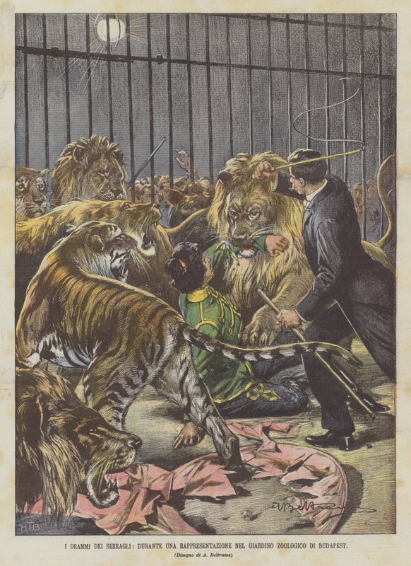 Os Drammas do Serragli, durante uma representação no zoológico de Budapeste de Achille Beltrame
