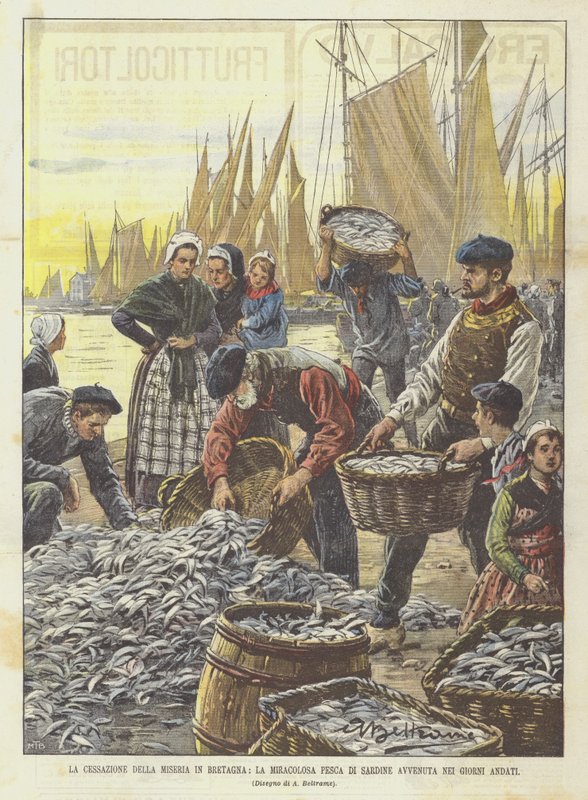 A cessação da miséria na Bretanha, a pesca milagrosa de sardinhas ocorreu nos últimos dias de Achille Beltrame