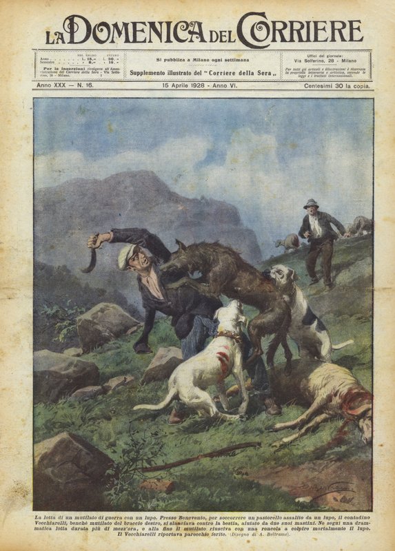 A luta de uma guerra mutilada com um lobo de Achille Beltrame