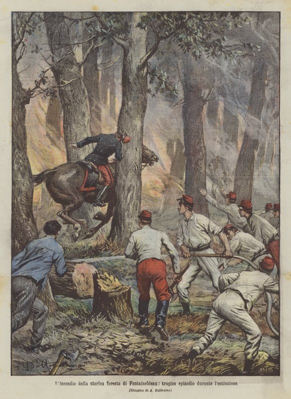 O incêndio da floresta histórica de Fontainebleau, um episódio trágico durante a extinção de Achille Beltrame