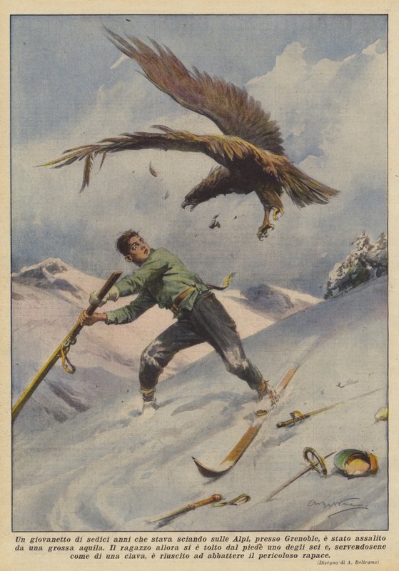 Um jovem de dezesseis anos que estava esquiando nos Alpes perto de Grenoble foi atacado por uma grande águia de Achille Beltrame