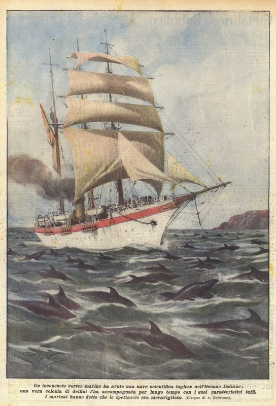 Será que uma procissão marítima incomum tem um navio de ciência britânico no Oceano Índico de Achille Beltrame