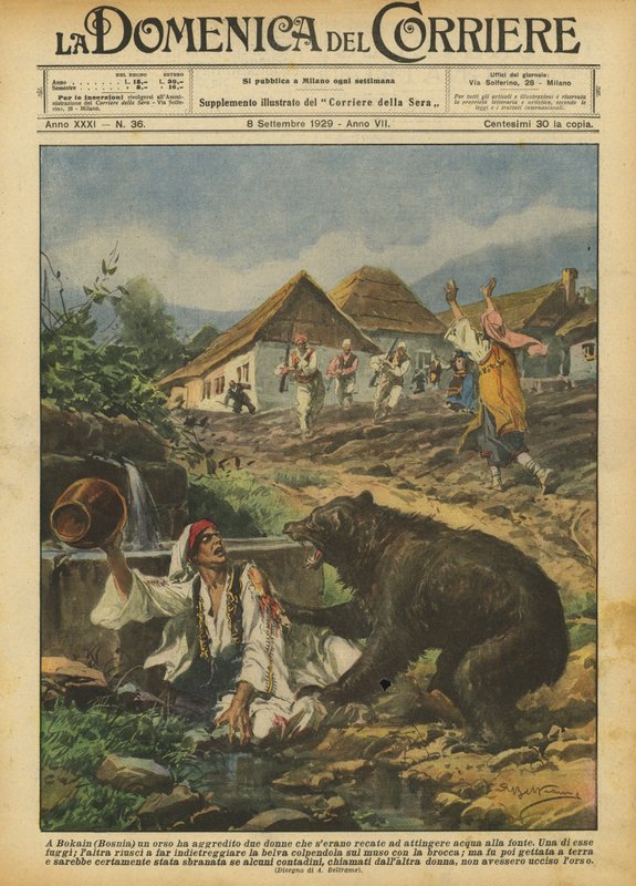Em Bokain (Bósnia), um urso atacou duas mulheres que vão buscar água na fonte de Achille Beltrame