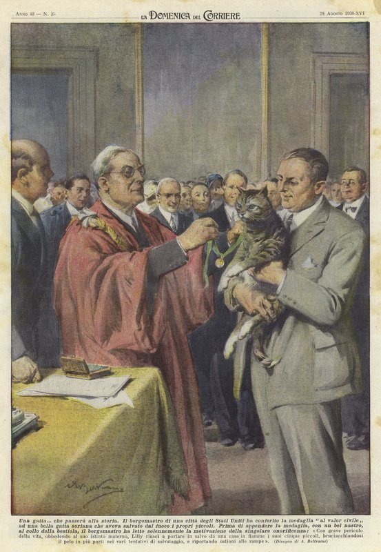Um gato honrado com uma medalha de Achille Beltrame