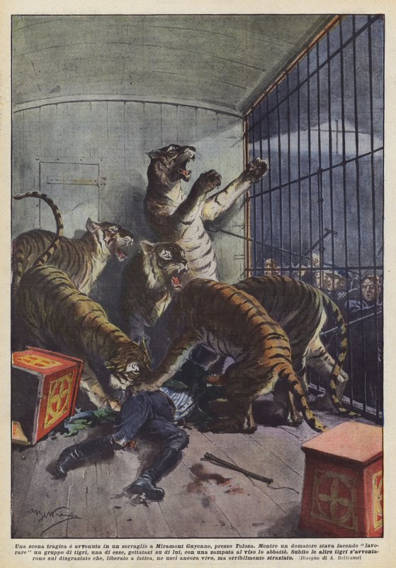 Uma cena trágica teve lugar numa coleção de animais em Miramont Guyenne, perto de Toulouse de Achille Beltrame