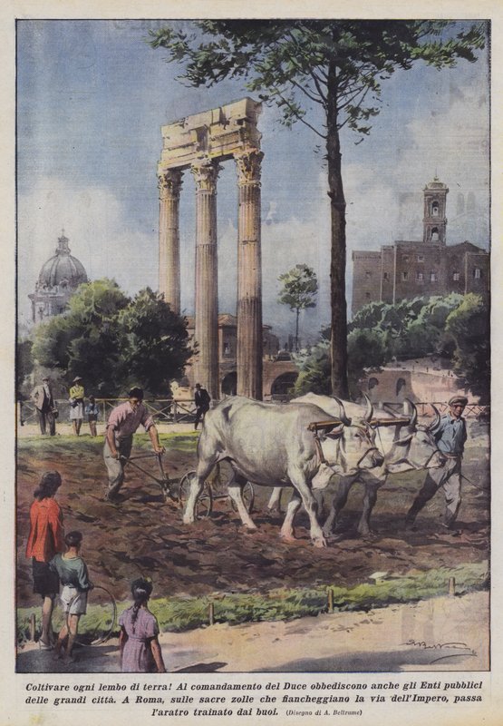 Cultive cada faixa de terra! de Achille Beltrame