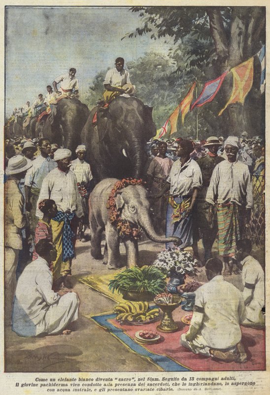 Como um elefante branco se torna sagrado, no Sião de Achille Beltrame