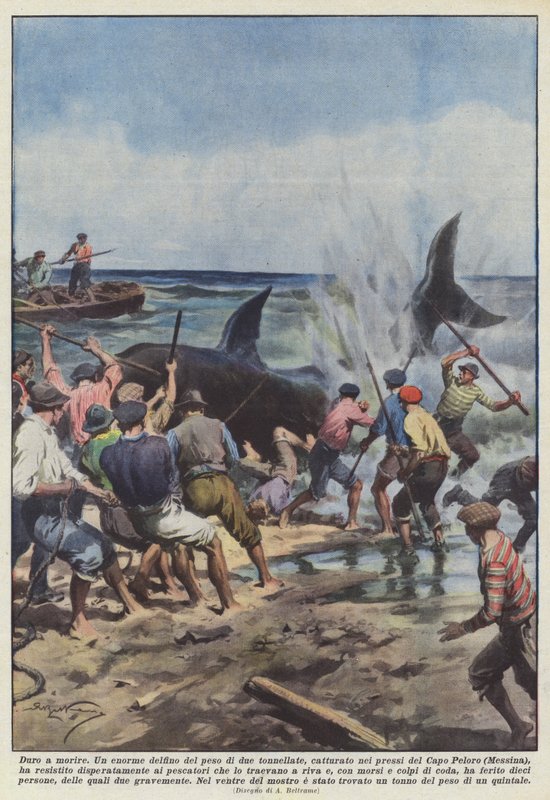 Difícil de morrer de Achille Beltrame