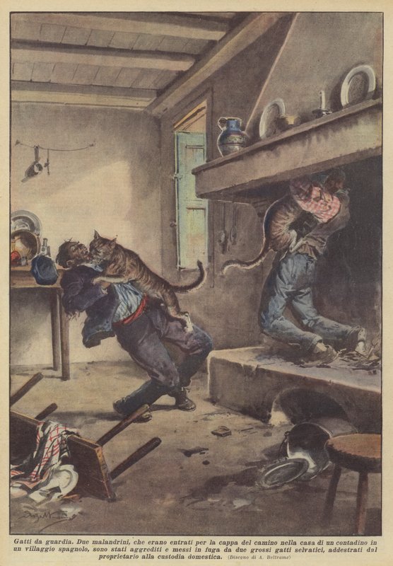 Gatos de guarda de Achille Beltrame