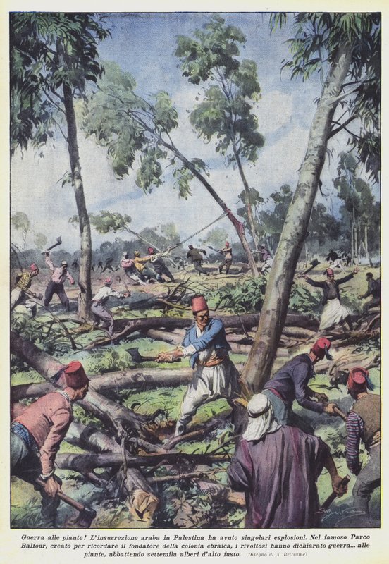 Guerra nas plantas! de Achille Beltrame