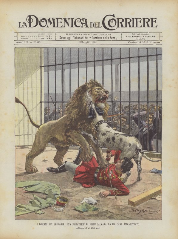 Dramas no Serralho, um domador do Comércio Justo salvo por um cão treinado de Achille Beltrame