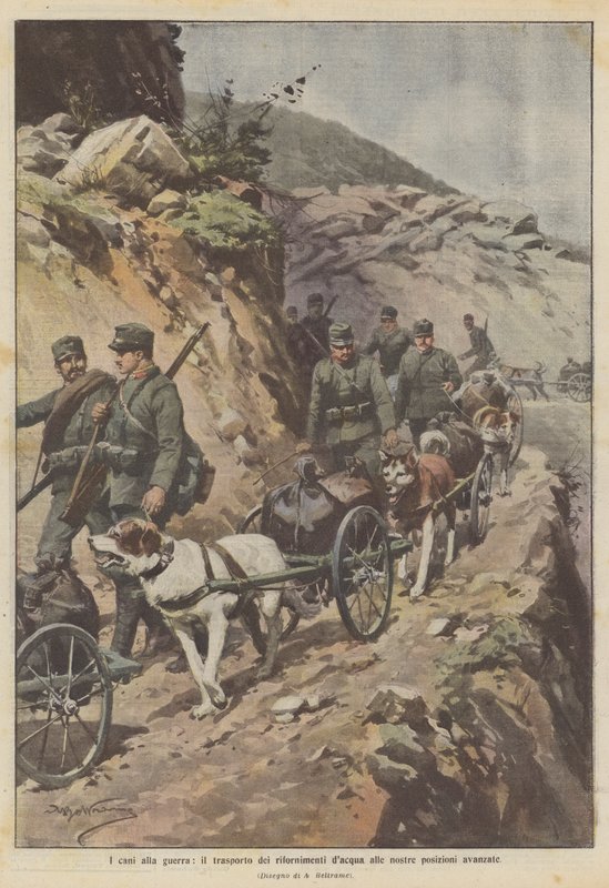 Cães em guerra, transportando suprimentos de água para nossas posições avançadas de Achille Beltrame