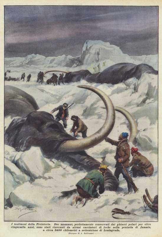As testemunhas da pré-história de Achille Beltrame