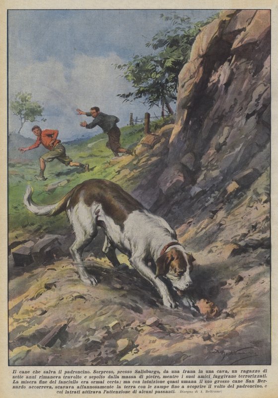 O cachorro que salva o dono de Achille Beltrame