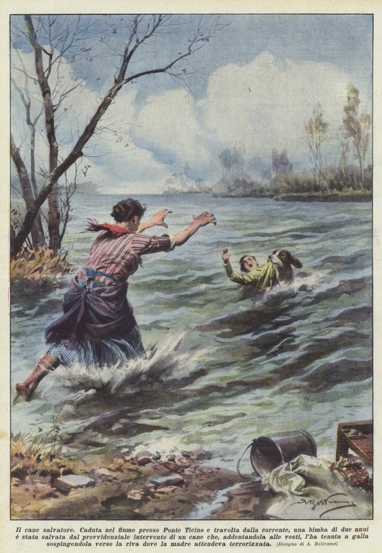 O cão salvador de Achille Beltrame