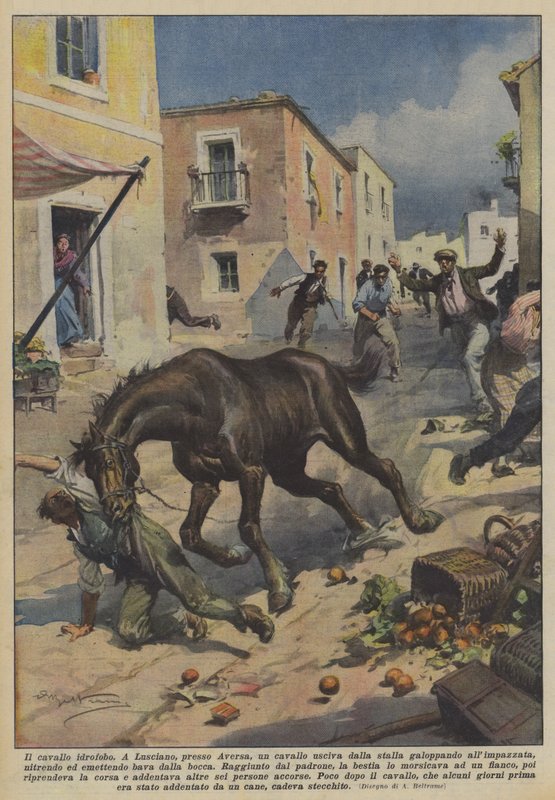 O idrofobo Cavallo de Achille Beltrame
