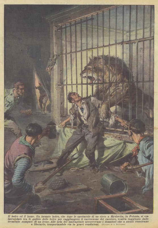 O ladrão e o leão de Achille Beltrame